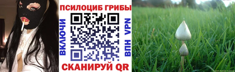 Псилоцибиновые грибы Magic Shrooms  Купить  Дзержинский 