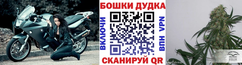 МАРИХУАНА семена  Купить закладки  Дзержинский 